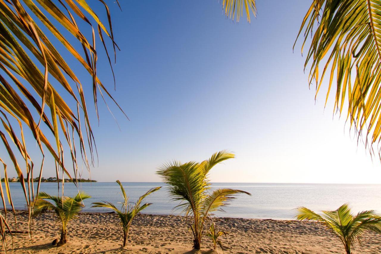 Khalkob'S Estate Placencia Exterior foto